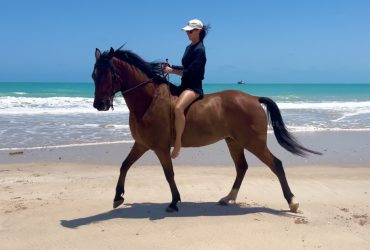 Infinity Equestrian Lessons & Clinics