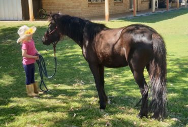 Leadline and First Ridde Pony